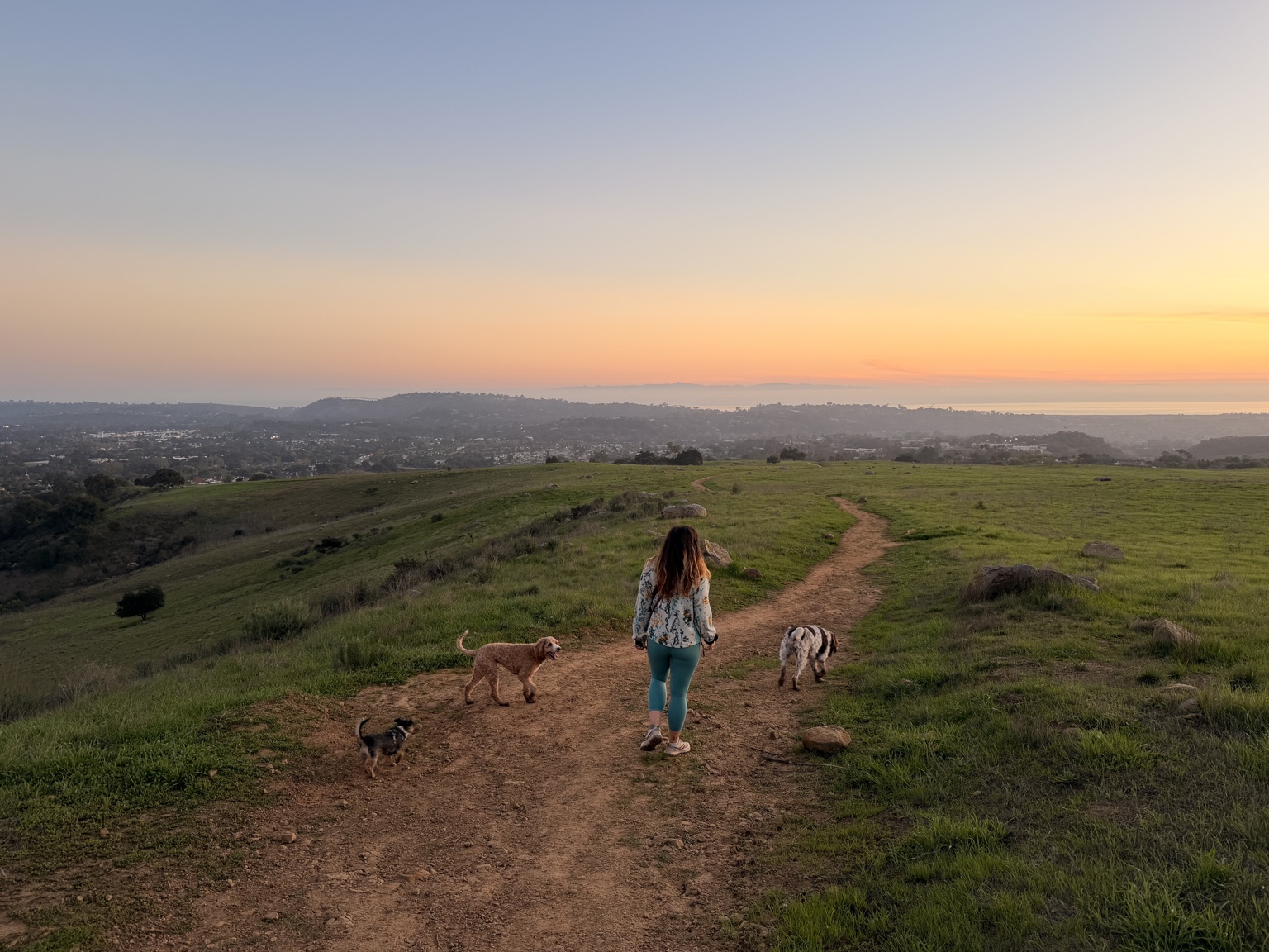 Walking with dogs at sunset
